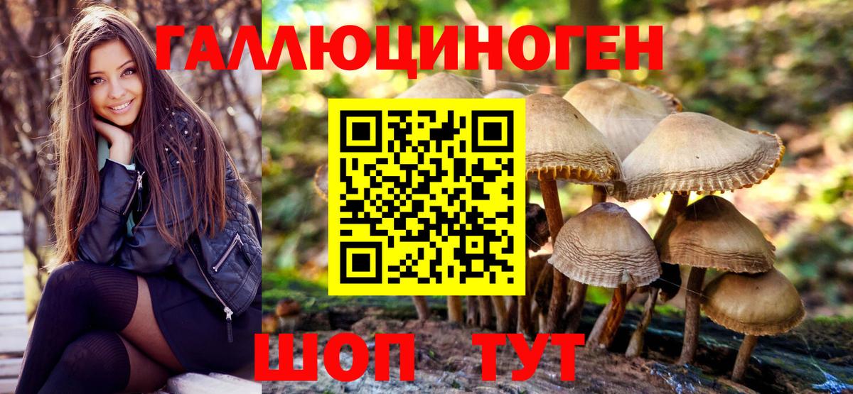 Абинск  Псилоцибиновые грибы GOLDEN TEACHER  Вход с VPN  Псилоцибиновые грибы Magic Shrooms 